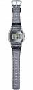DW-5600SK-1